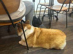 -肥朵食堂(带梦胡同店)