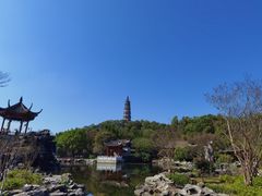 -顺峰山公园