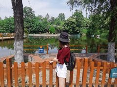 -西安秦岭野生动物园