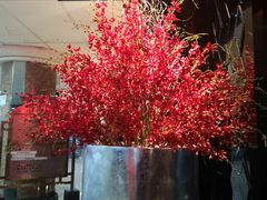 -红辣椒·川菜·火锅(张杨路店)