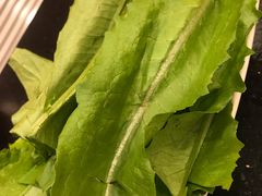 -蝎王府羊蝎子(北大地店)