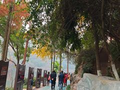 -重庆彩云湖湿地公园
