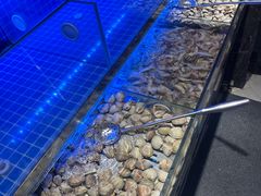 -蒙肥羊·酸汤潮牛·鲜牛肉火锅烤肉自助(岗顶店)