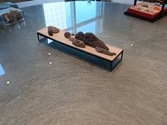 -稍可轩博物馆餐厅