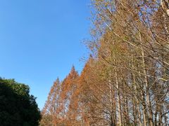 -梁鸿国家湿地公园