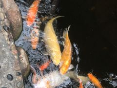 -上海大自然野生昆虫馆(东方明珠·爬宠昆虫探索中心)