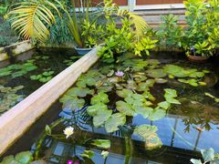 -国家植物园南园