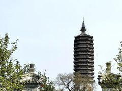 -西海子公园