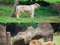 -杭州野生动物世界