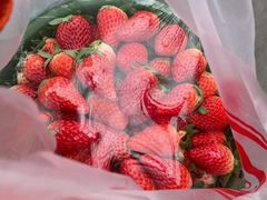 -胡家庙水果批发市场