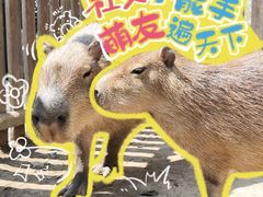 -宁波杉井奥特莱斯广场