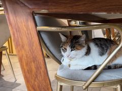 -后海16号·北京私房菜