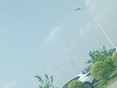 -空港花田景区