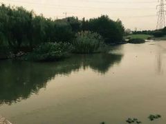 -九里河湿地公园