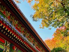-灵谷景区
