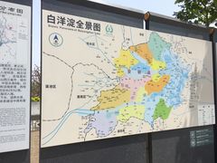 -白洋淀景区