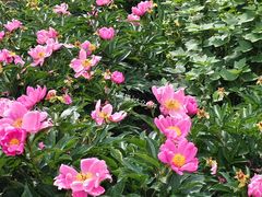 -哈尔滨师范大学(松北校区)