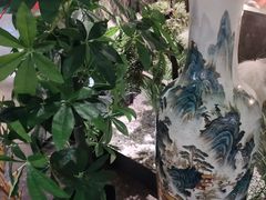 -绿茶餐厅(天津天河城店)