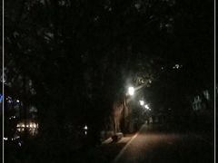 -南宁南湖公园