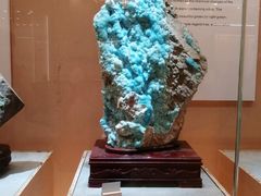 -抱璞文化展示中心