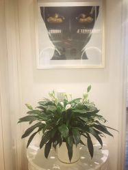 点击看大图 -东田造型