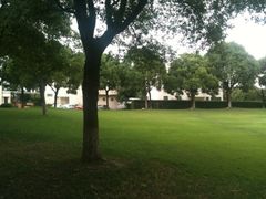 iphone_upload_pic-紫藤宾馆