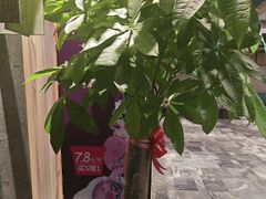 -大鸭梨烤鸭(枣园店)