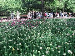 -黑龙江省森林植物园