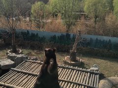 -济南野生动物世界