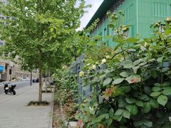 -杭州观成实验学校