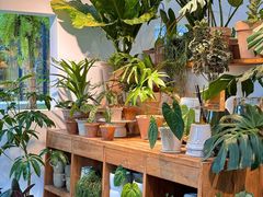 -自由生长植物工作室(深港花卉中心店)