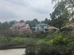-茅山肴·道家菜·神仙鸡