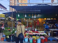 -曲阳花鸟市场(曲阳路店)