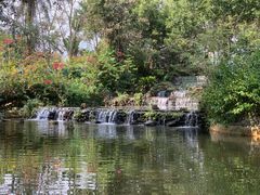 -海南热带野生动植物园