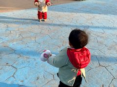 -芜湖新华联大白鲸海洋公园