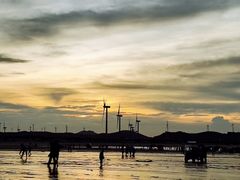 -长江澳风力发电景观区