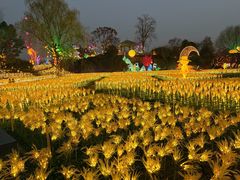 -国际非物质文化遗产博览园