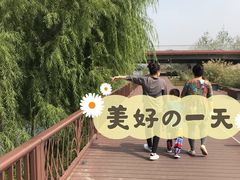 -西海子公园