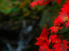-九如山休闲旅游度假区