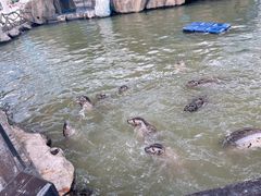 -华夏文旅海洋公园