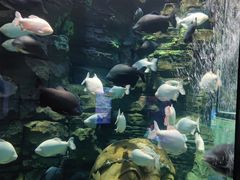 -成都浩海立方海洋公园