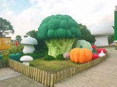 -上海都市菜园