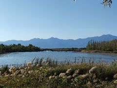 -野鸭湖国家湿地公园