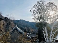-潭柘寺景区