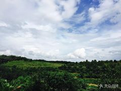 -西双版纳融创皇冠假日度假酒店