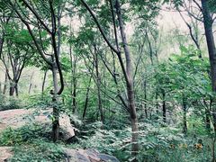 -碓臼峪自然风景区