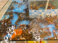 -宝燕海货工场(长江国际店)