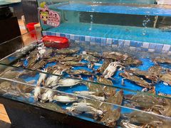 -宝燕海鲜(好爱店)