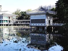 -荔湾湖公园