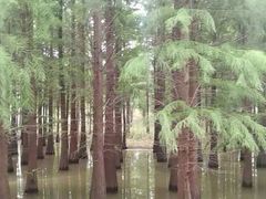 -小六农家乐(崇明西沙湿地店)